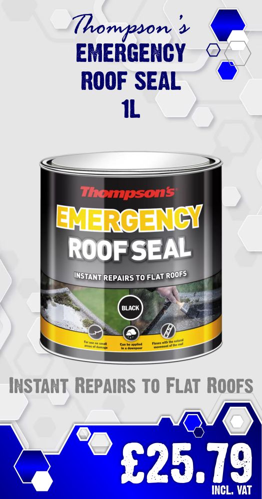 Thompson's Emergency Roof Seal 1l